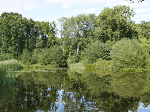 Abbrook Pond