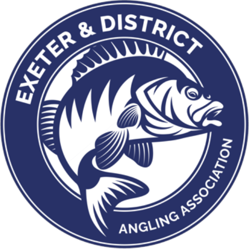 Home - Exeter & District Angling Association